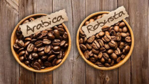 Kopi Arabica vs Robusta, Yuk Kenali apa saja Perbedaanya